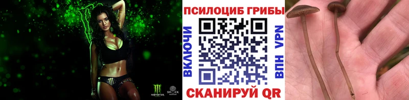 Галлюциногенные грибы прущие грибы наркота Ленинск-Кузнецкий